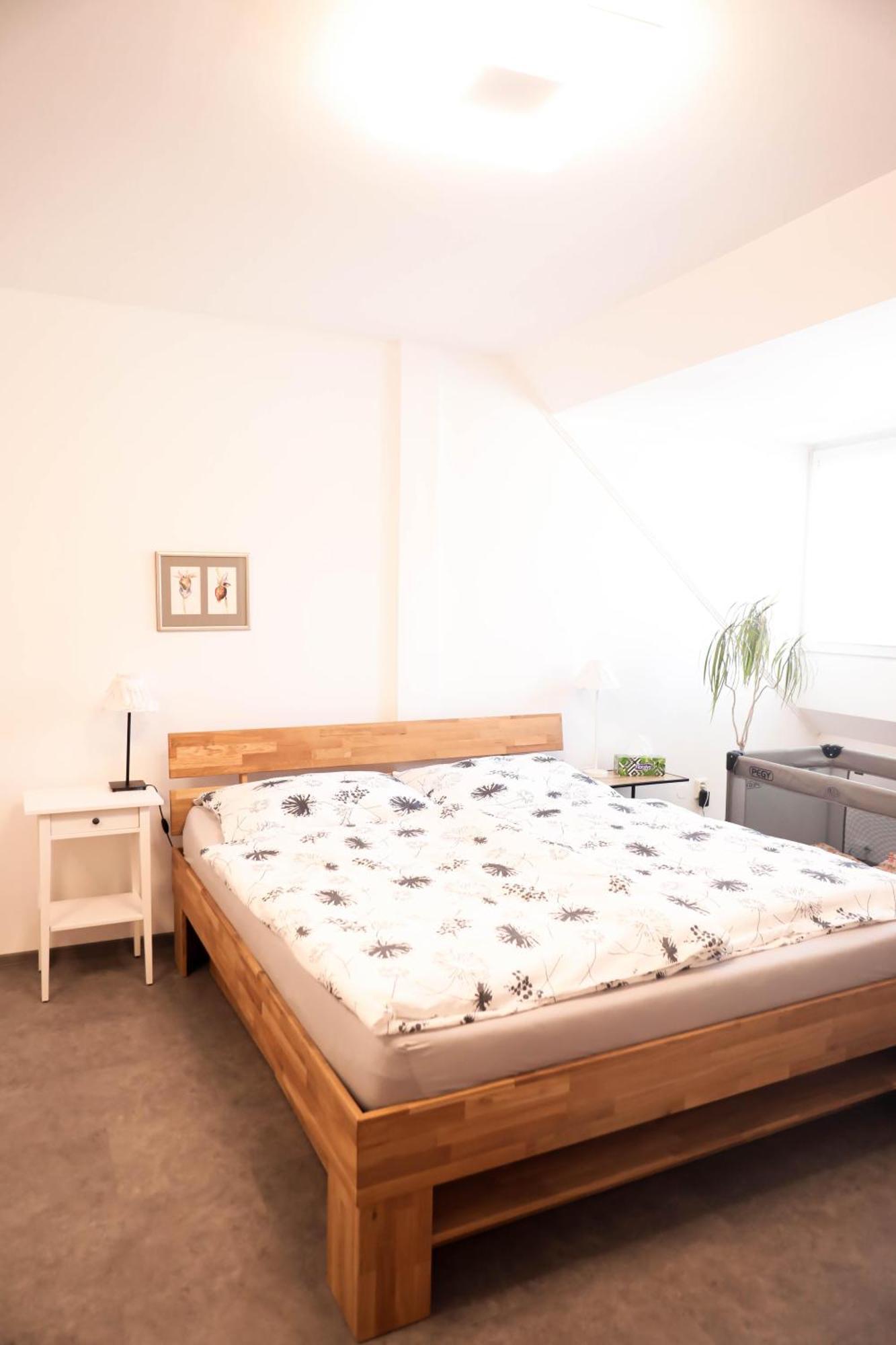 U Zoubku Apartment *